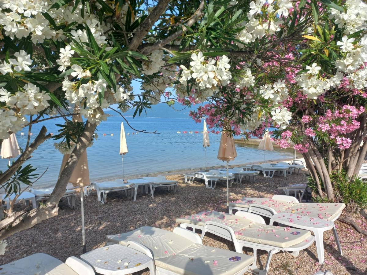 Villa Angelina 昆博 外观 照片